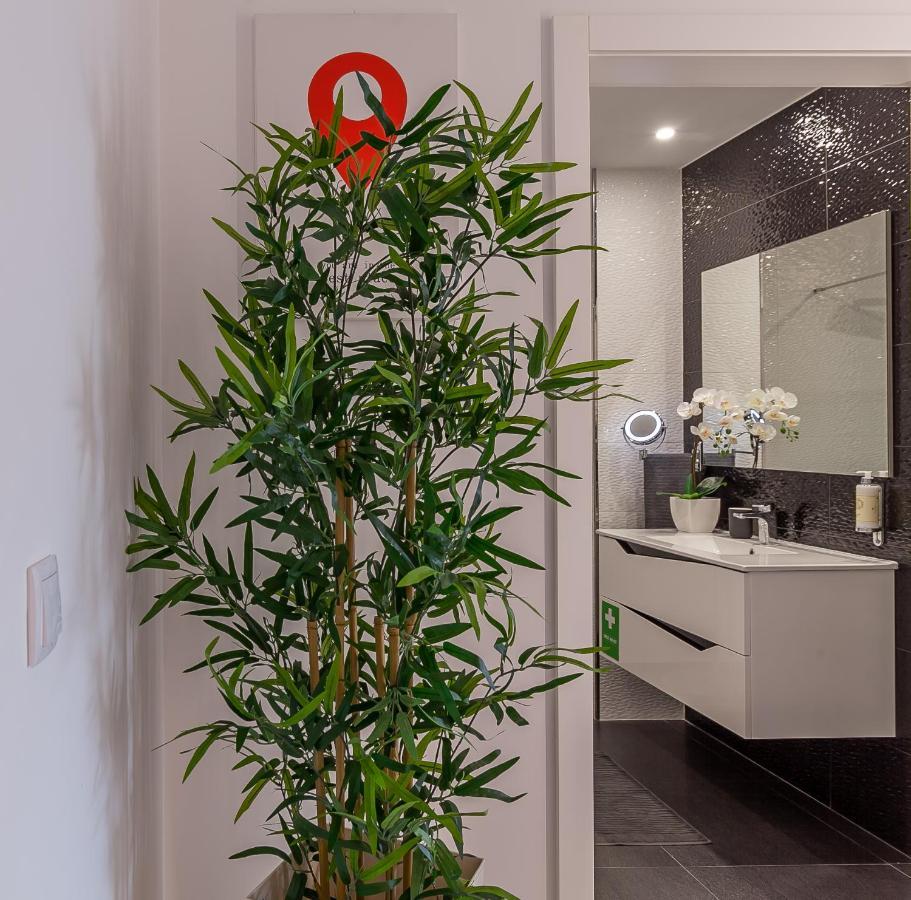 Apartamento Led - Vista Alegre Ponte de Lima